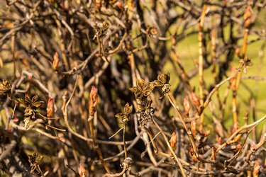 Similar image 19201147