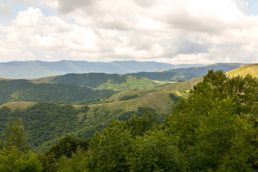 Similar image 19201085