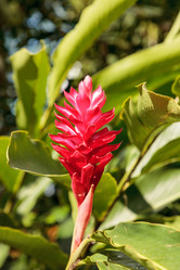 Similar image 19574913