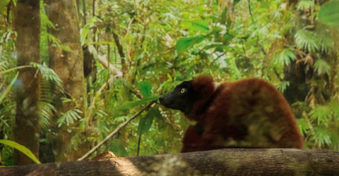 Similar image 19574914