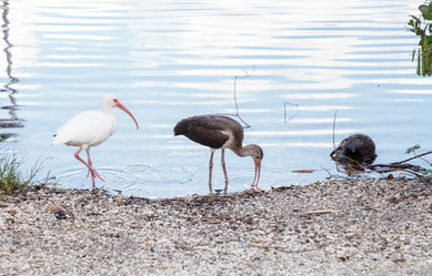 Similar image 19574955