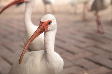 Similar image 19581434