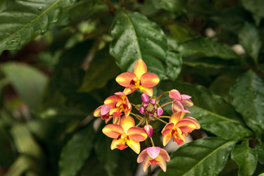 Similar image 19582122