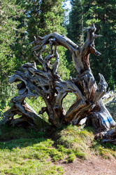 Similar image 19608775