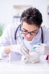 Similar image 19586699