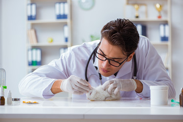 Similar image 19588591