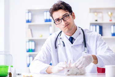 Similar image 19588693