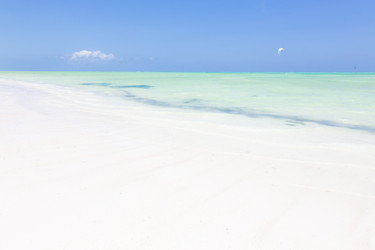 Similar image 19556279