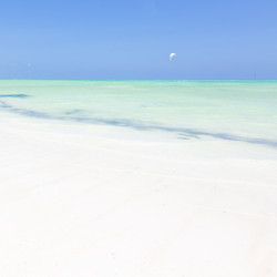 Similar image 19556289