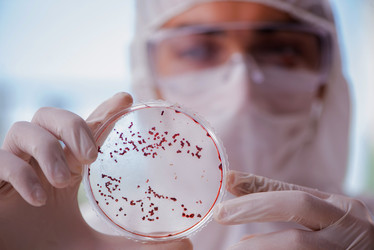 Similar image 19590156