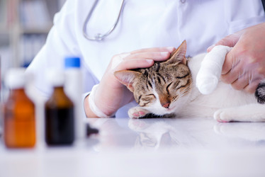 Similar image 19586986