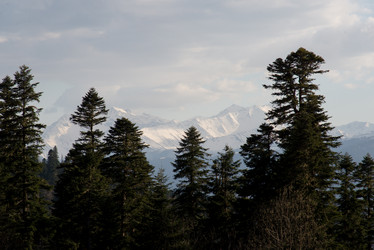 Similar image 19793873