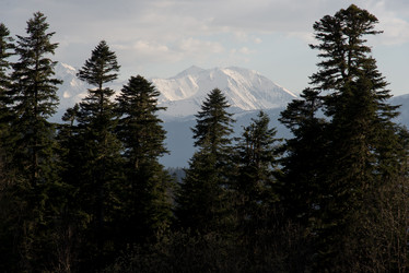 Similar image 19793874