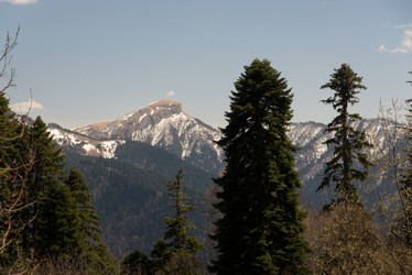 Similar image 19793889