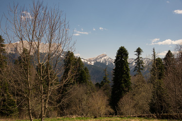 Similar image 19793890