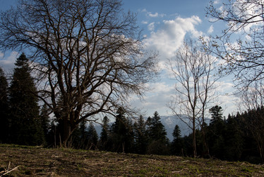 Similar image 19793907