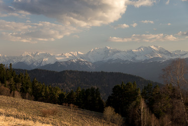 Similar image 19793921