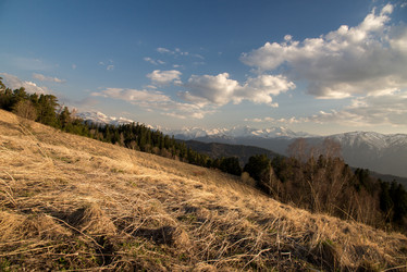 Similar image 19794712