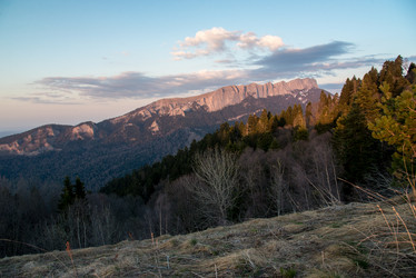 Similar image 19793439