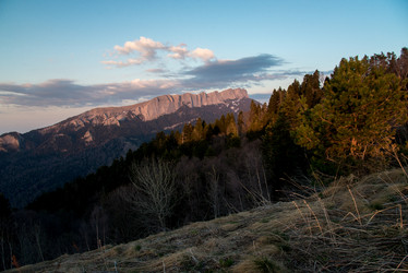 Similar image 19793441