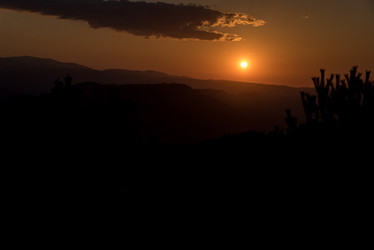 Similar image 19793474