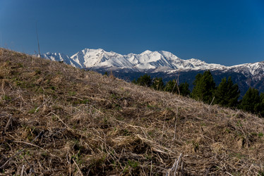 Similar image 19793499