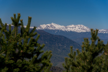 Similar image 19793501