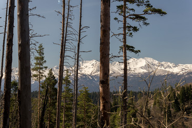 Similar image 19793504