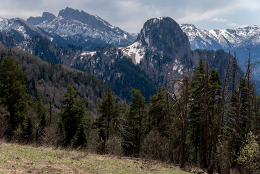 Similar image 19793534