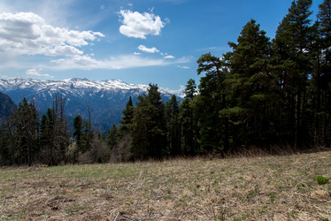 Similar image 19793538