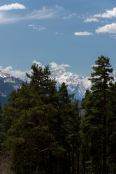 Similar image 19793557