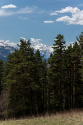 Similar image 19793561