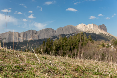 Similar image 19793562