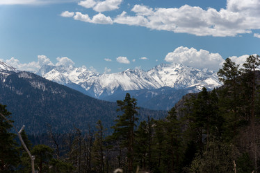 Similar image 19793598