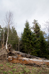 Similar image 19793619