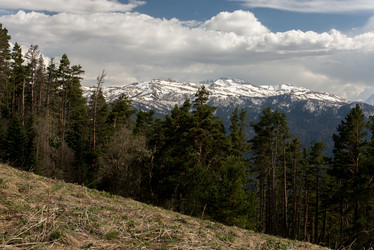 Similar image 19793631