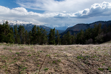 Similar image 19793635