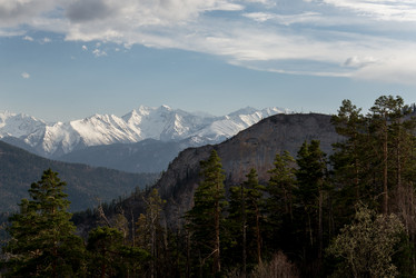 Similar image 19793652