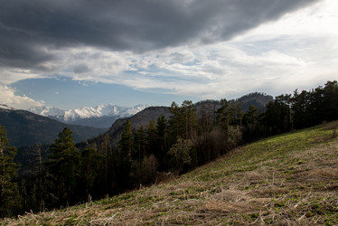 Similar image 19793664