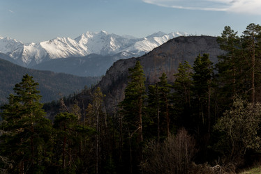 Similar image 19793665