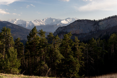 Similar image 19793668