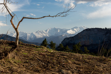 Similar image 19793670