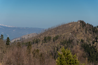 Similar image 19793738