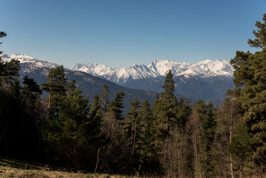 Similar image 19793754