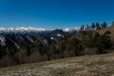 Similar image 19793757