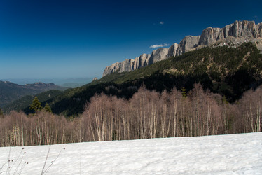 Similar image 19793760