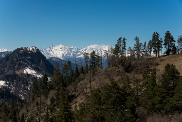 Similar image 19793775