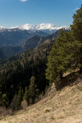 Similar image 19793788