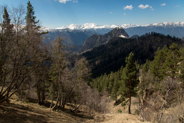 Similar image 19793790