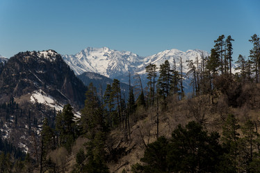 Similar image 19793791